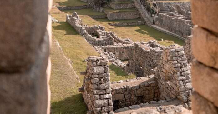 south America vaccines in Essex