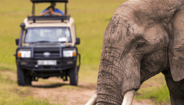 typhoid vaccine colchester